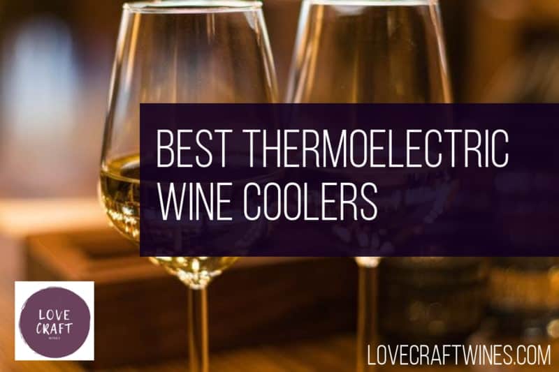 Top 21 Best Thermoelectric Wine Coolers Fridges 2020 Review