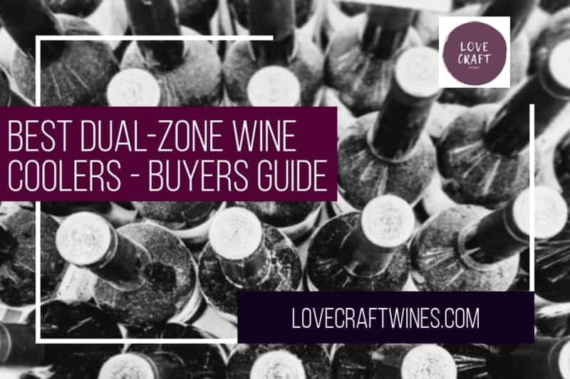 Top 10 Best Dual Zone Wine Coolers Fridges 2020 Review