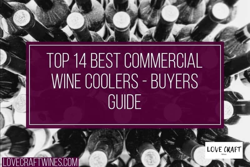 Best Commercial Wine Coolers \u0026 Fridges 