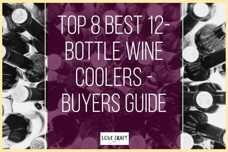 Top 8 Best 12 Bottle Wine Fridges Coolers 2020 Review