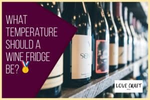 What Temp Should a Wine Fridge Be?